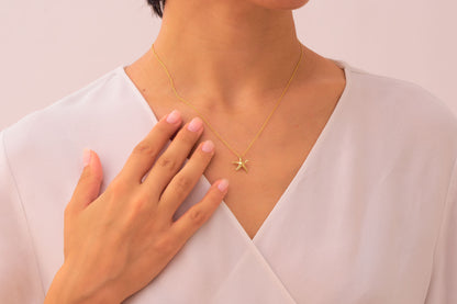 Deniz Yıldızı Kolye (163)